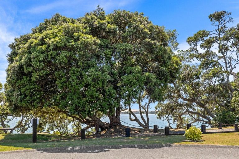 Photo of property in 5 Citrus Place, Mangawhai, 0505