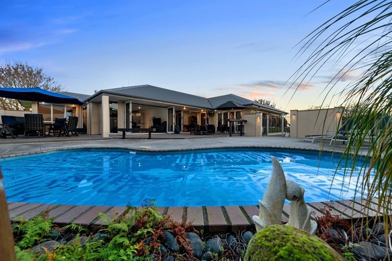 Photo of property in 90 Kay Road, Flagstaff, Hamilton, 3210