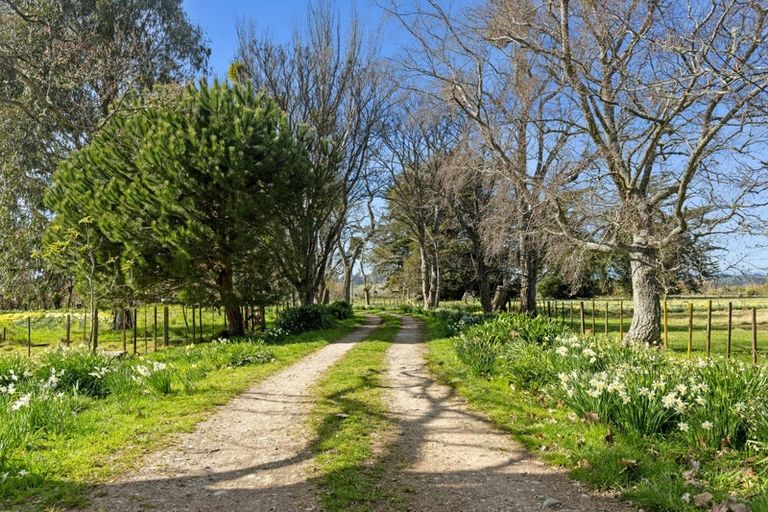 Photo of property in 66 Central Road, Lower Moutere, Upper Moutere, 7175