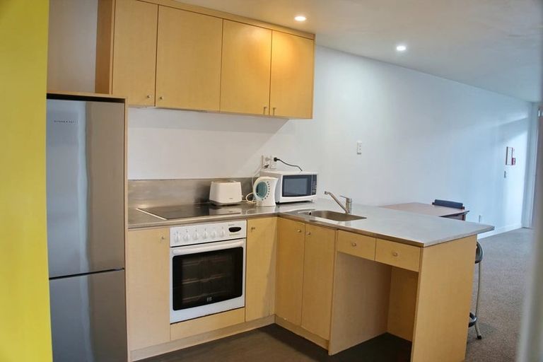 Photo of property in Hanson House, 7a/27 Hanson Street, Mount Cook, Wellington, 6021