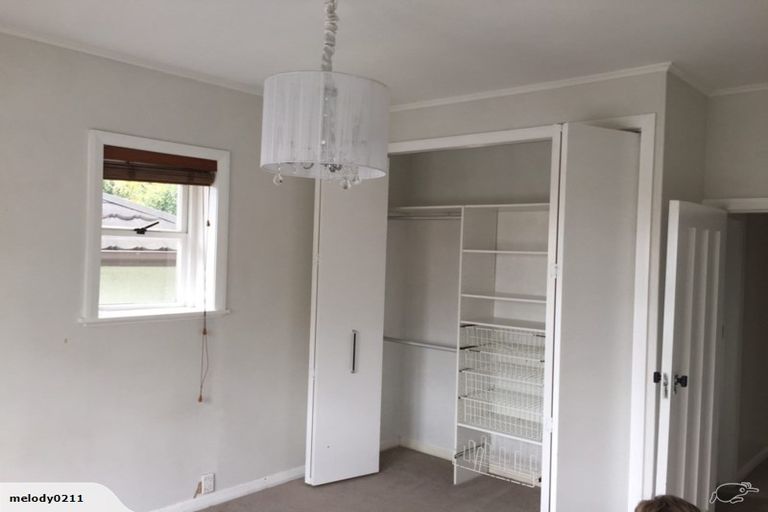 Photo of property in 17 Massey Avenue, Greenlane, Auckland, 1061