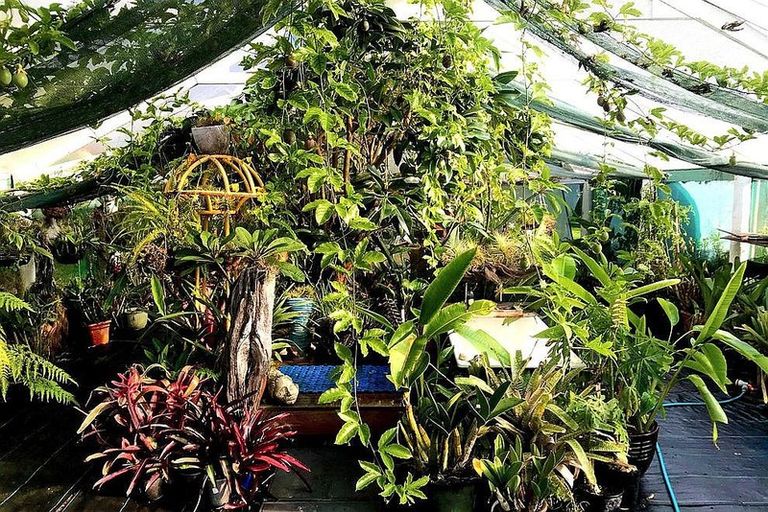 Photo of property in 28 Matakohe Road East, Matakohe, 0593