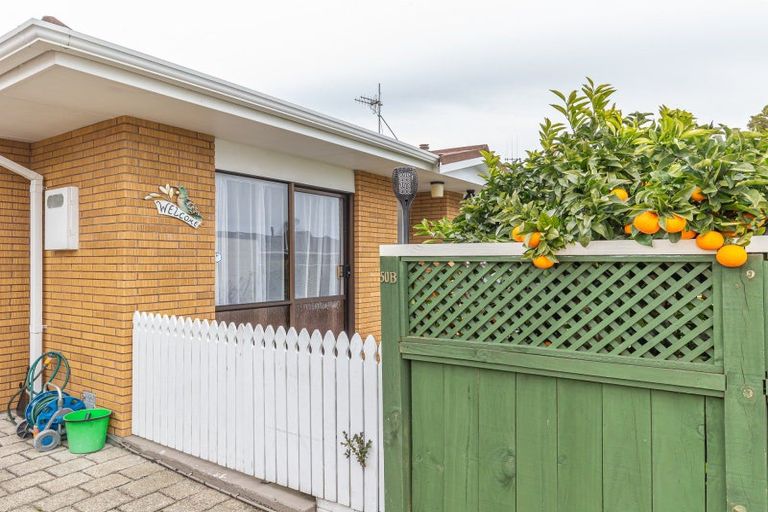 Photo of property in 50b Highbury Drive, Levin, 5510
