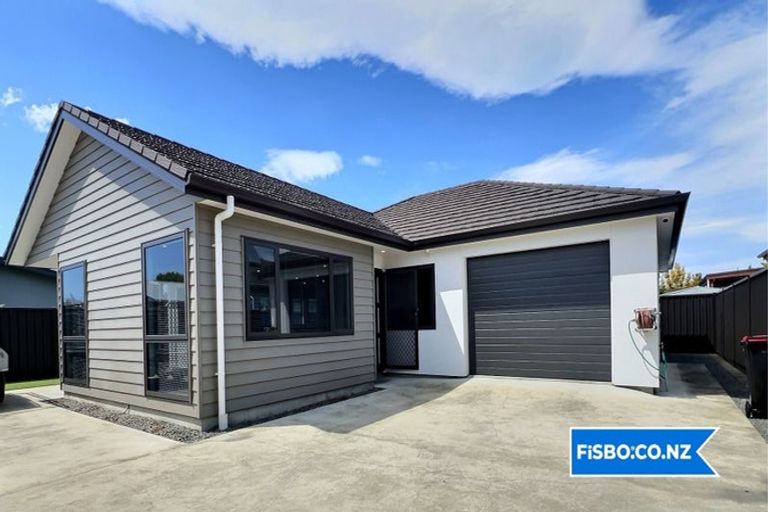 Photo of property in 700a Buller Street, Akina, Hastings, 4122