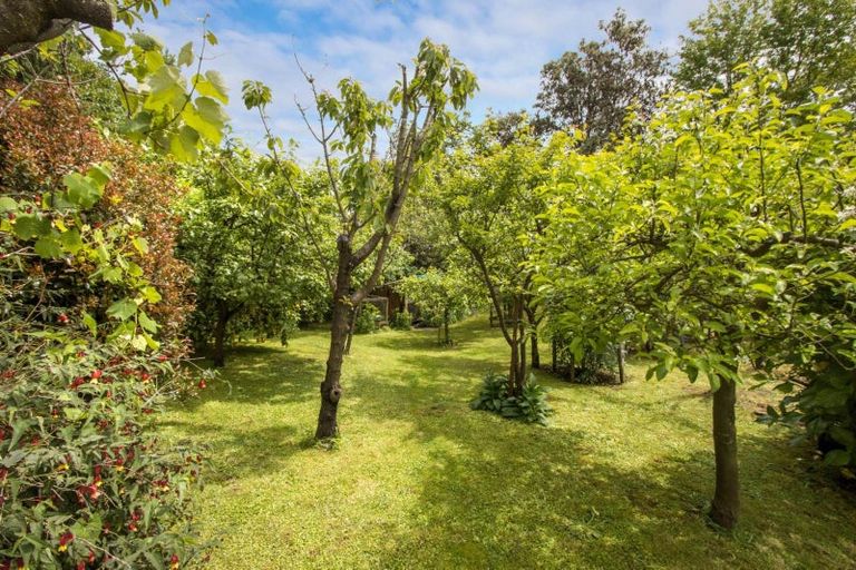 Photo of property in 10 Richmal Street, Waihi, 3610