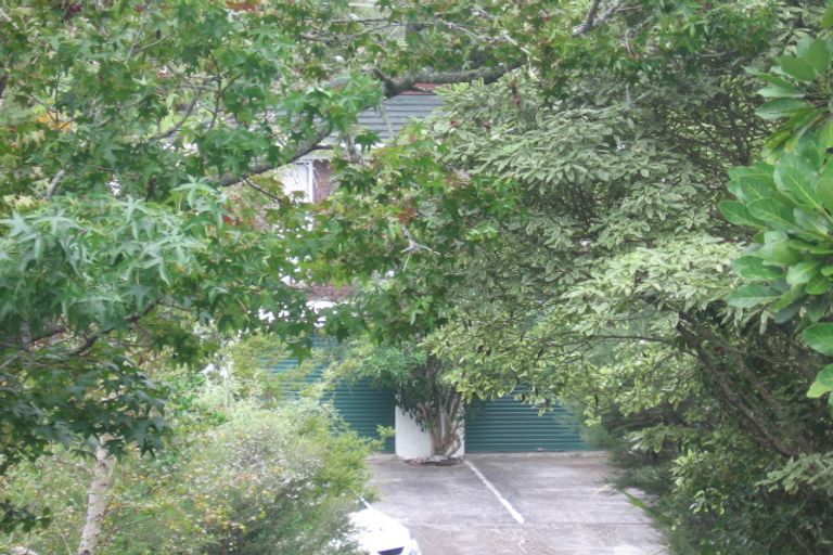 Photo of property in 62 Atkinson Road, Titirangi, Auckland, 0604