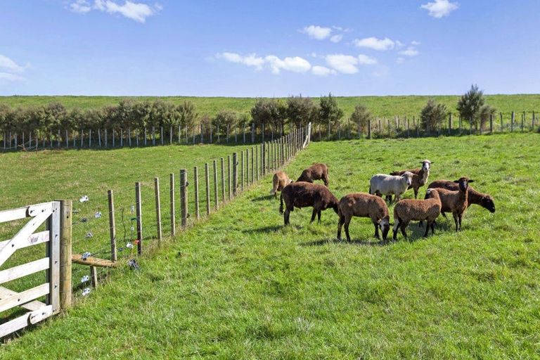 Photo of property in 104 Te Papatapu Road, Raglan, 3296