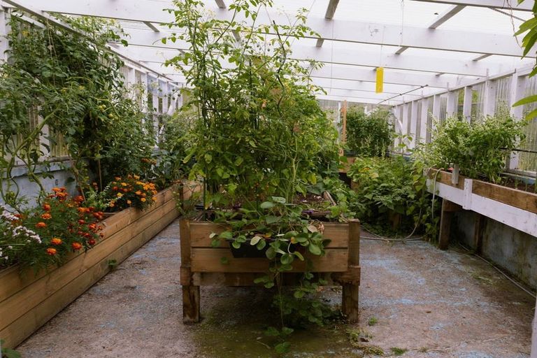 Photo of property in 717 Taylorville Road, Taylorville, Greymouth, 7805