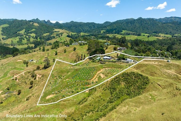 Photo of property in 265 Hot Springs Road, Tahawai, Katikati, 3178
