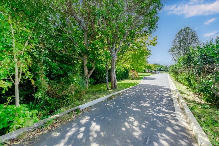 Photo of property in 62 Awanui Drive, Waikanae, 5036