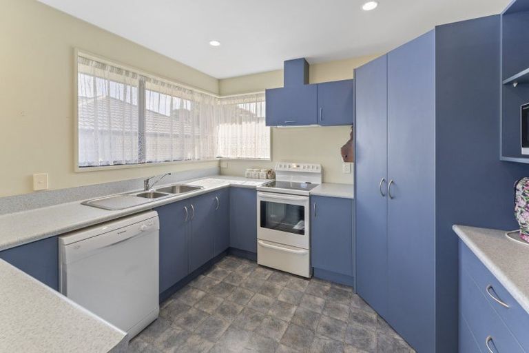 Photo of property in 19a Linton Street, Mayfield, Blenheim, 7201