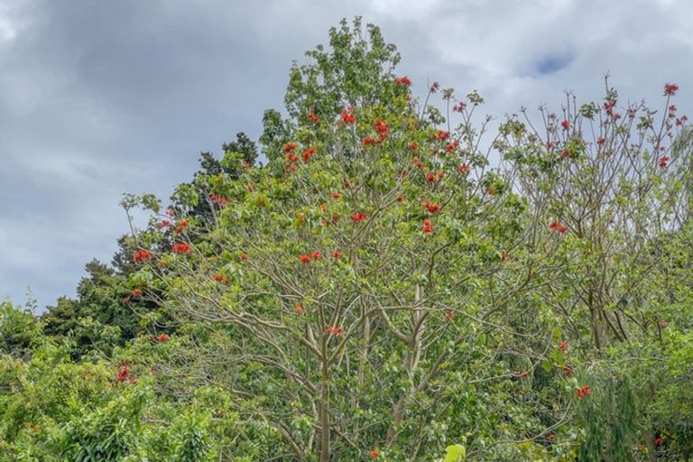 Photo of property in 65 Waikawau Valley Road, Kereta, Thames, 3575