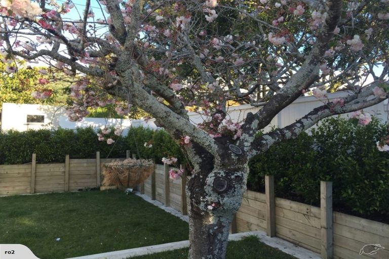 Photo of property in 45 View Road, Mount Eden, Auckland, 1024