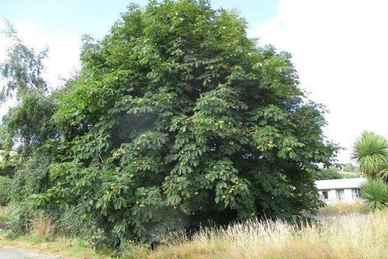 Photo of property in 180 Kana Street, Mataura, 9712