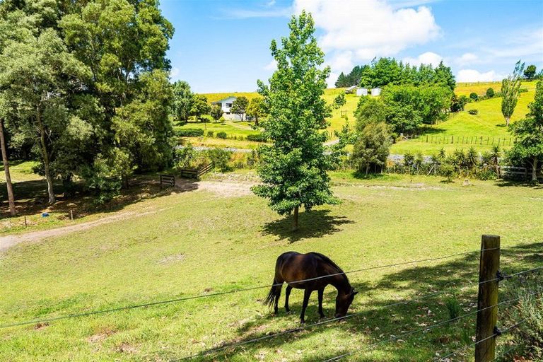 Photo of property in 307 Whananaki North Road, Opuawhanga, Hikurangi, 0181