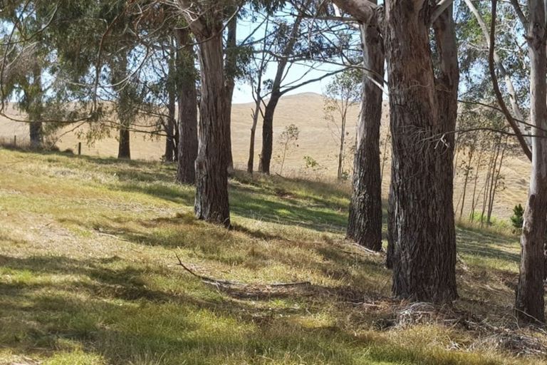 Photo of property in 81 Millar Road, Haumoana, Hastings, 4180