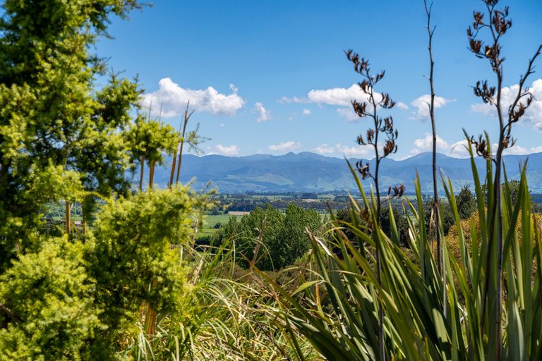 Photo of property in 110 Te Wharau Road, Gladstone, Masterton, 5883