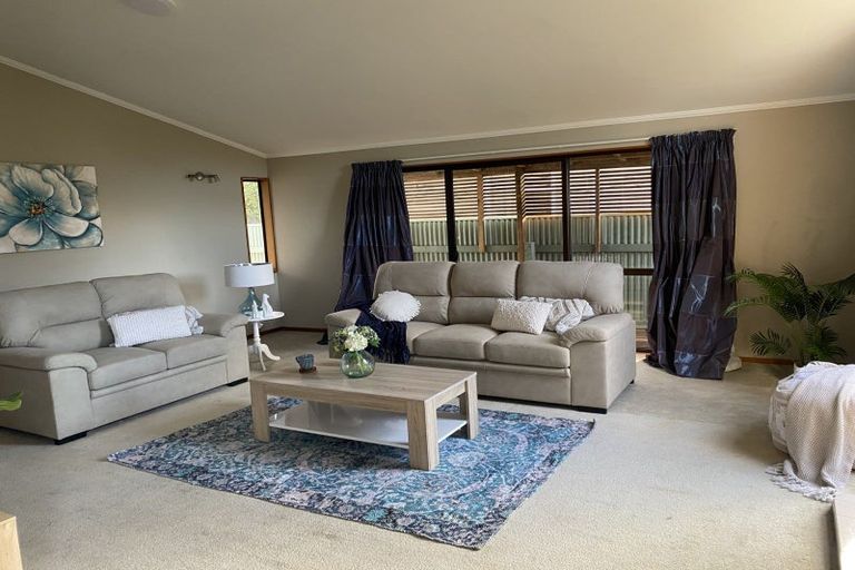 Photo of property in 14 Mokau Place, Terrace End, Palmerston North, 4410