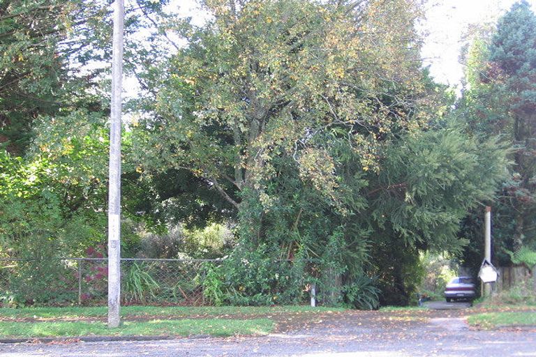 Photo of property in 17 Manaia Street, Tokoroa, 3420