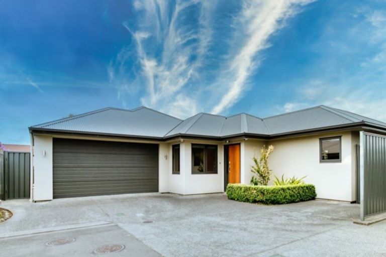 Photo of property in 48c Te Aute Road, Havelock North, 4130