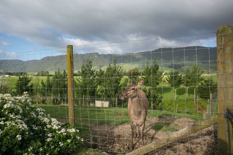 Photo of property in 974 Old Te Aroha Road, Okauia, Matamata, 3471