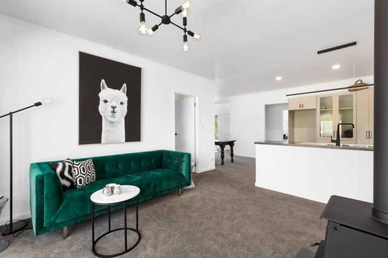 Photo of property in 608 Waihi Whangamata Road, Waihi, 3681