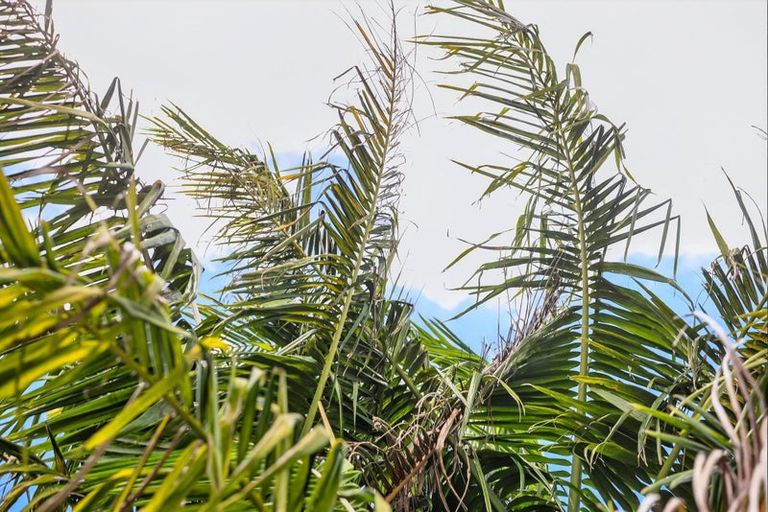 Photo of property in 20 Cartmel Avenue, Massey, Auckland, 0614