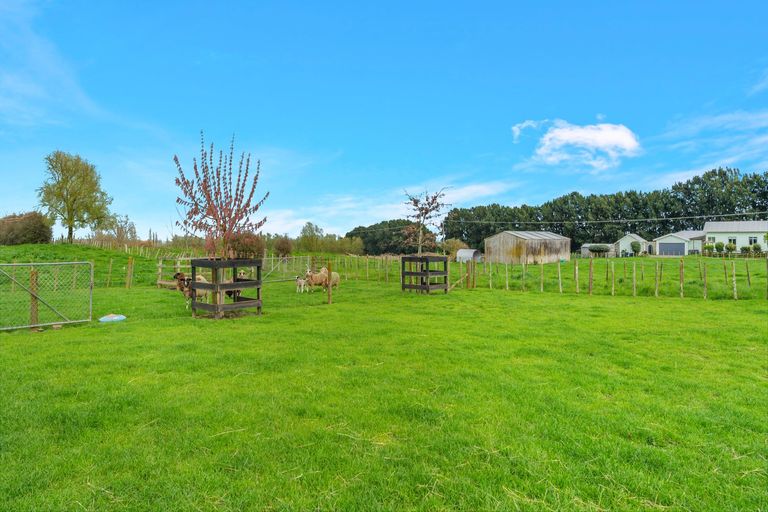 Photo of property in 97 Hangawera Road, Morrinsville, 3375