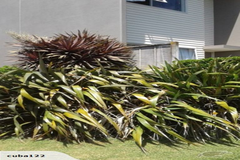 Photo of property in 50/7 Kelvin Hart Drive, East Tamaki, Auckland, 2013
