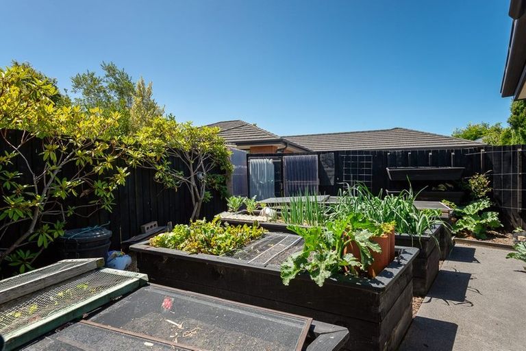 Photo of property in 186 Cashmere Road, Hoon Hay, Christchurch, 8025