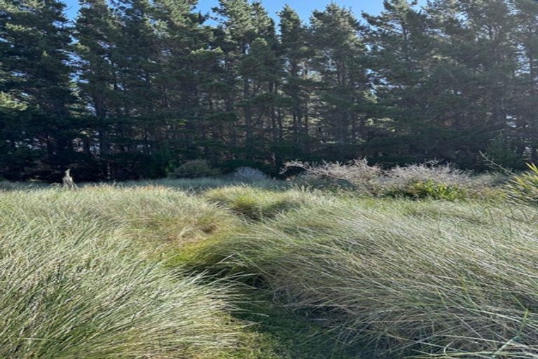 Photo of property in 17 Nunu Drive, Flat Point, Masterton, 5883