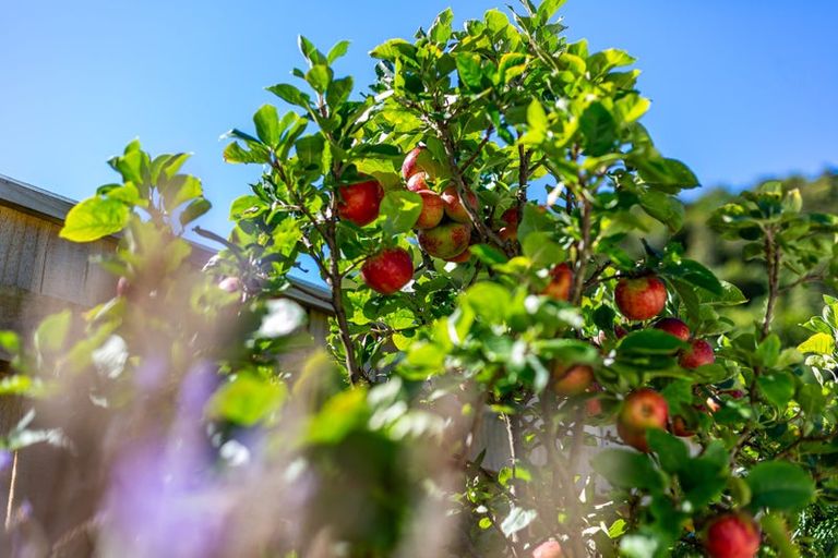 Photo of property in 254 Muritai Road, Eastbourne, Lower Hutt, 5013