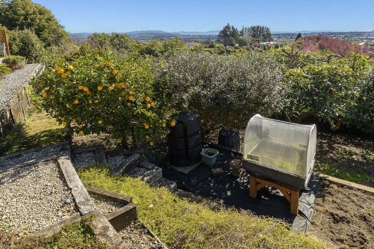 Photo of property in 7 Tobacco Hill, Welcome Bay, Tauranga, 3175