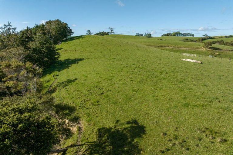 Photo of property in 67 Fraser Road, Kawakawa, 0210