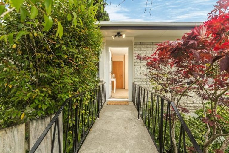 Photo of property in 25 Walnut Lane, Browns Bay, Auckland, 0630