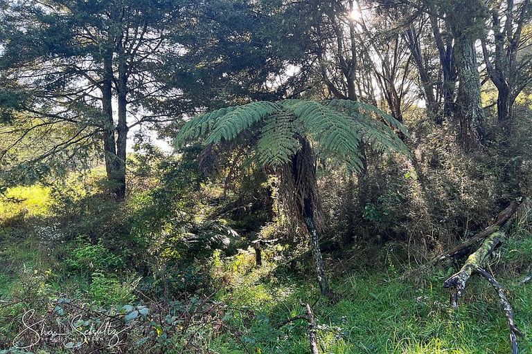 Photo of property in 171 Arcadia Road, Paparoa, 0571