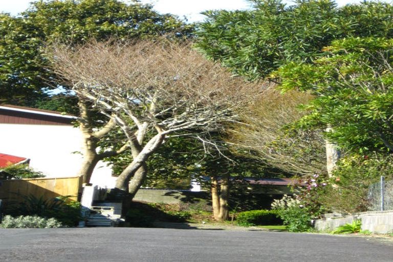 Photo of property in 11a Mayfair Place, Westown, New Plymouth, 4310