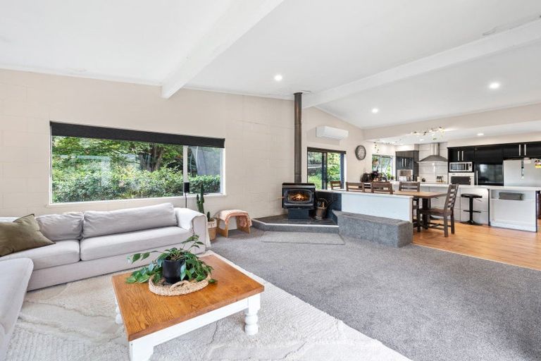 Photo of property in 93 Te Puna Quarry Road, Minden, Tauranga, 3179