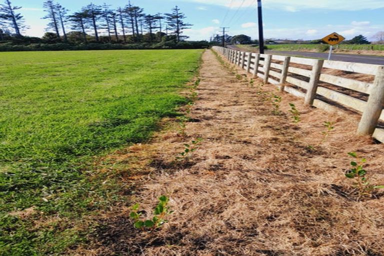 Photo of property in 177 Mountain Road, Sentry Hill, New Plymouth, 4373