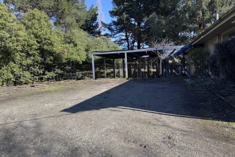 Photo of property in 241 Blackman Road, Blackmans, Alexandra, 9391