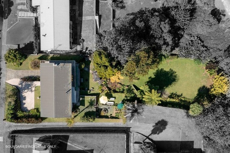 Photo of property in 9 Clifton Terrace, Brookfield, Tauranga, 3110