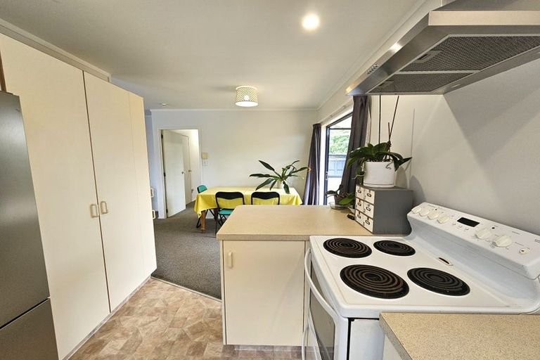 Photo of property in 8b Paterson Street, Mount Maunganui, 3116