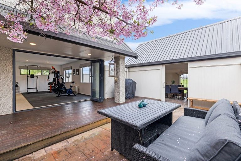 Photo of property in 113 John F Kennedy Drive, Milson, Palmerston North, 4414