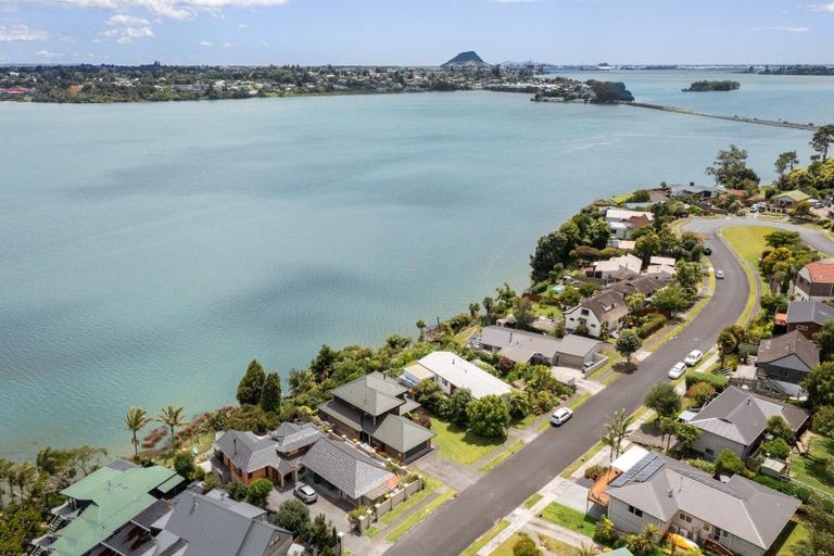 Photo of property in 117 Haukore Street, Hairini, Tauranga, 3112