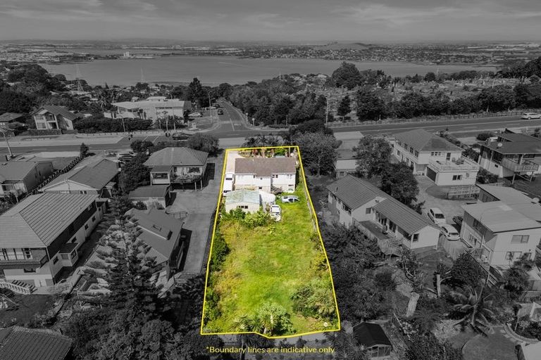 Photo of property in 255 Hillsborough Road, Hillsborough, Auckland, 1042