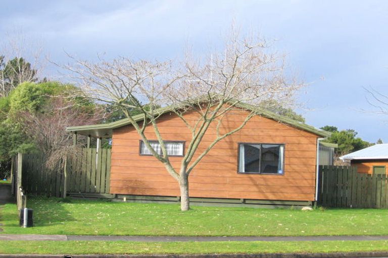 Photo of property in 17 Mckain Place, Fitzroy, Hamilton, 3206