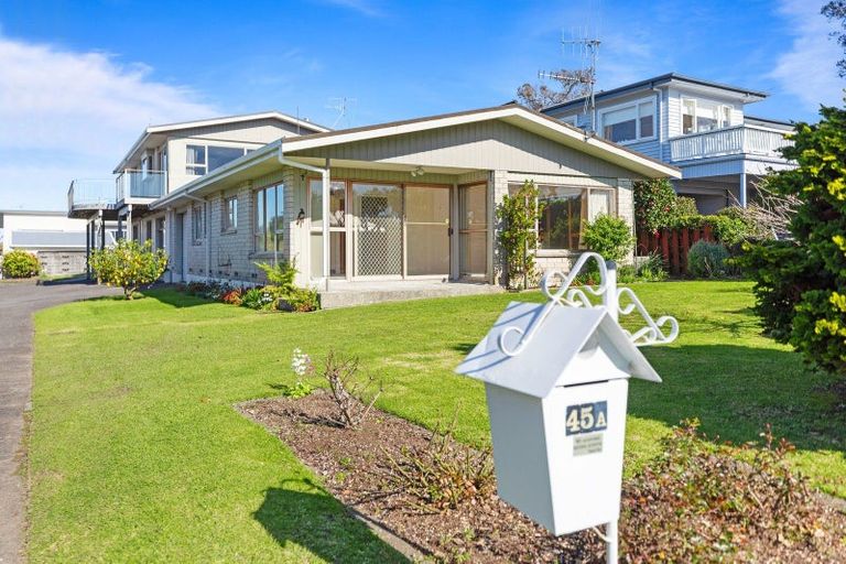 Photo of property in 45a Hinewa Road, Otumoetai, Tauranga, 3110