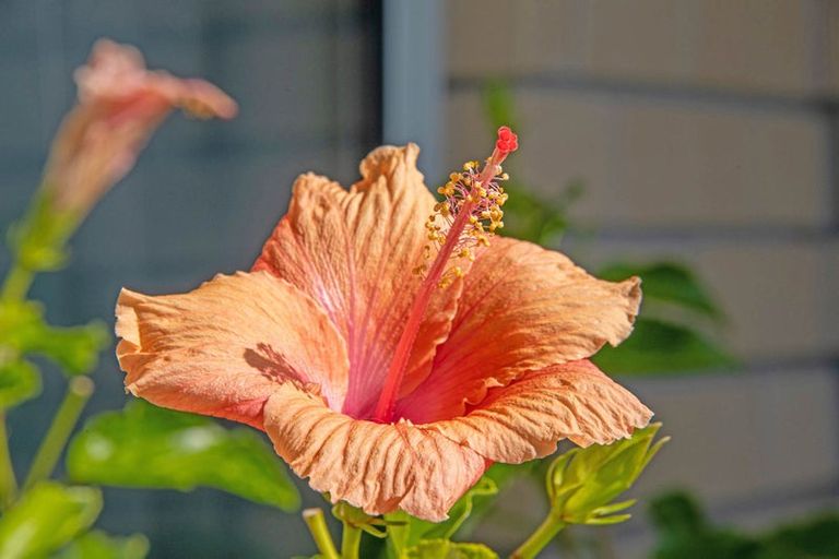 Photo of property in 17 Trevally Place, Snells Beach, 0920