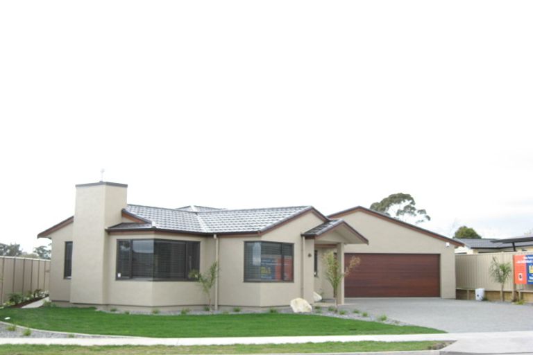 Photo of property in 91 Russell Robertson Drive, Havelock North, 4130