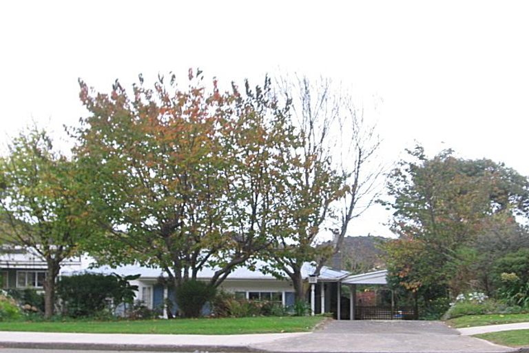 Photo of property in 98 Elizabeth Street, Waikanae, 5036